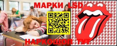 альфа пвп Новодвинск