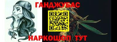 альфа пвп Новодвинск