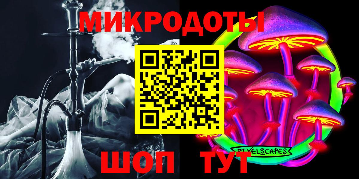 Псилоцибиновые грибы Psilocybine cubensis Южноуральск